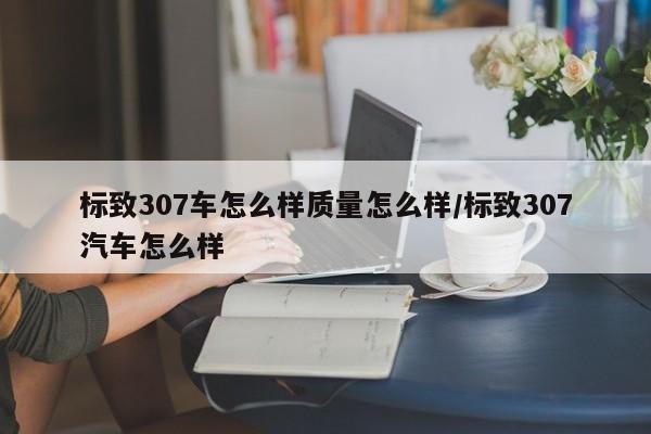 标致307车怎么样质量怎么样/标致307汽车怎么样